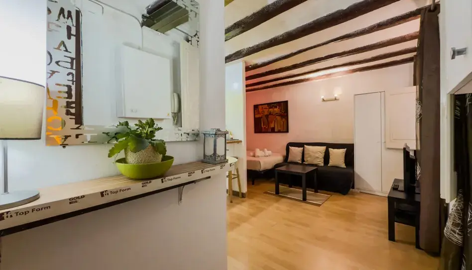 Studio in Sant Pere, Sta. Caterina i la Ribera, Barcelona